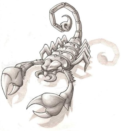 Скорпион эскиз