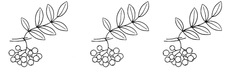 Ветка рябины» (рисование с натуры) (т.с.Комарова, стр.40)