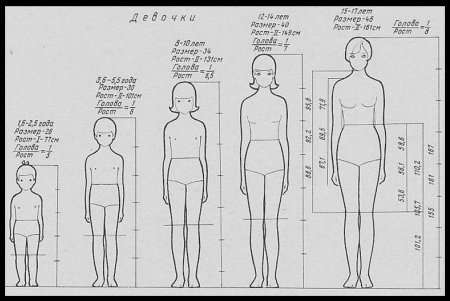 Эскиз модели