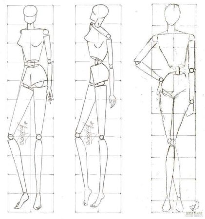 Пропорции человека в полный рост референс