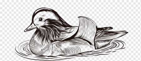 Утка Мандаринка чёрно белая