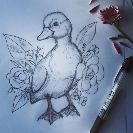 Рисунки для срисовки животные