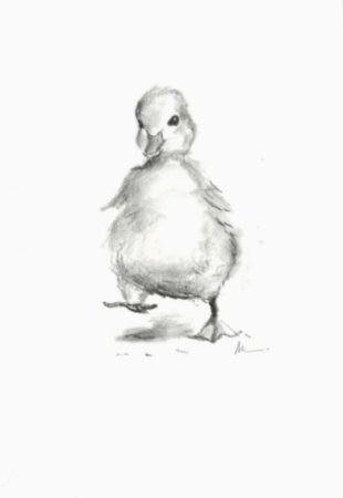 Утенок зарисовки