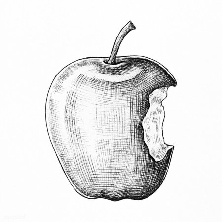 Рисунок яблоко эскиз (45 фото)