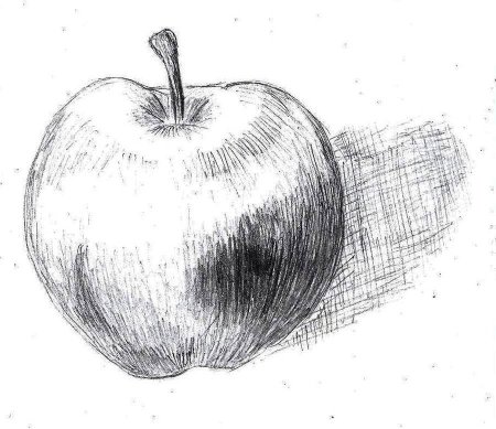 Карандашный набросок яблока