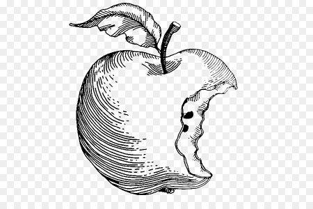 Яблоко эскиз