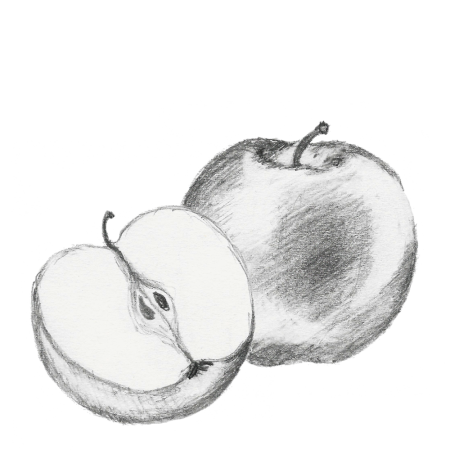 Яблоко набросок