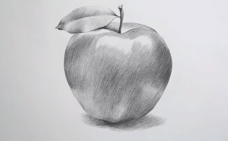 Яблоко рисунок карандашом