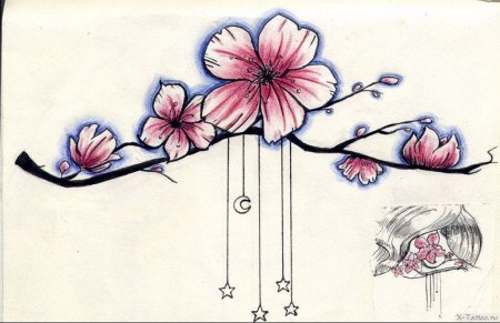 Цветы Сакуры эскиз