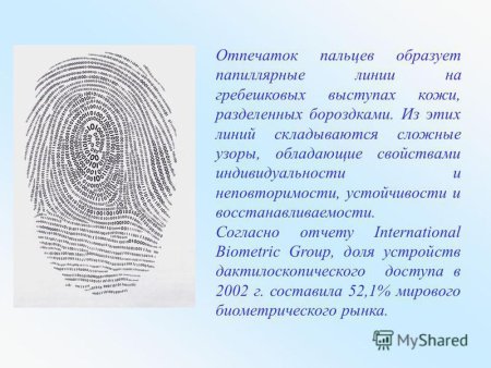 Дактилоскопия папиллярных узоров пальцев рук