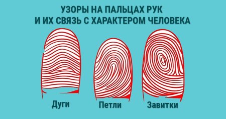 Узоры на подушечках пальцев