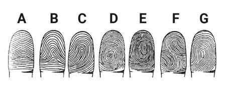 Папиллярные узоры на пальцах