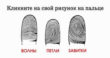 Отпечаток пальца дуговой и петлевой