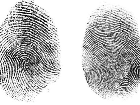 Папиллярный узор ногтевой фаланги