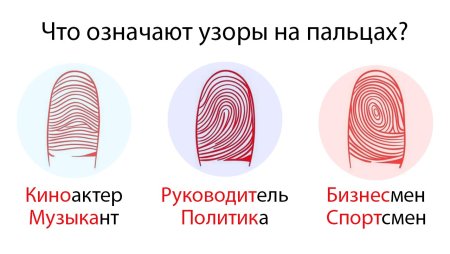 Отпечатки пальцев дерматоглифика