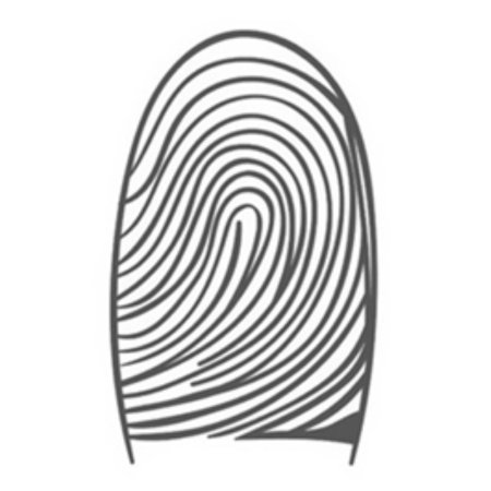 Петлевой отпечаток пальца