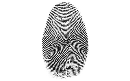 Золотое сечение отпечаток пальца