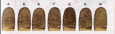 Узоры на подушечках пальцев