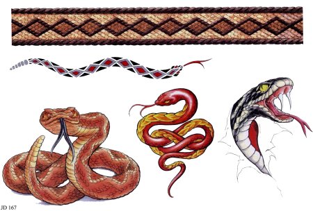 Орнамент змеи