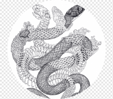 Змея рисунок