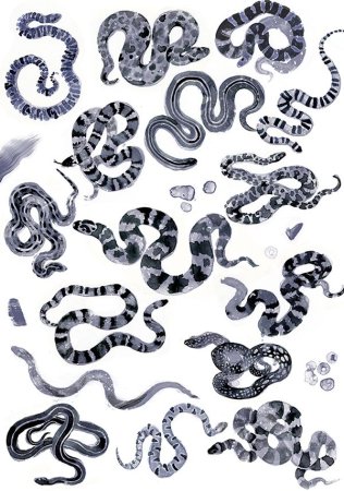 Змеиный узор