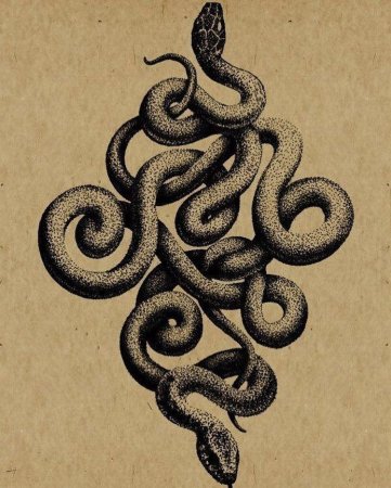 Змеиный орнамент