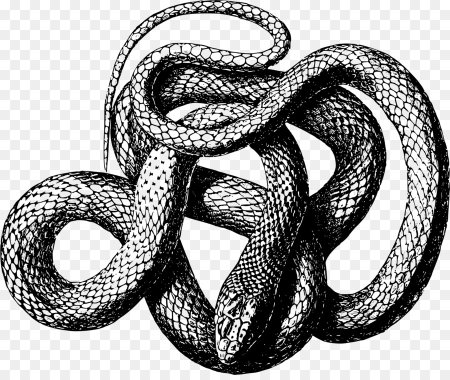 Векторные змеи