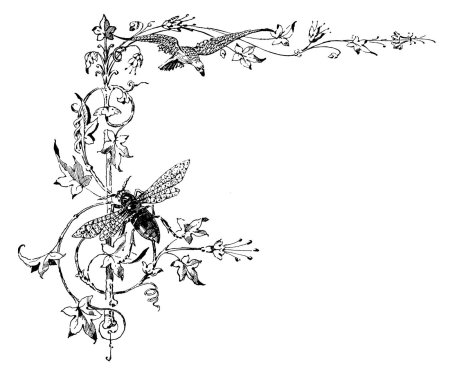 Орнамент для нард