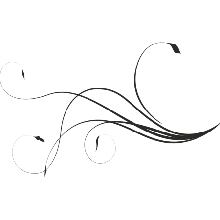 Красивые изогнутые линии