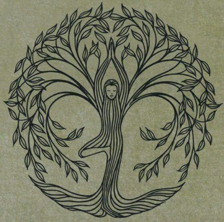 Дерево жизни йога