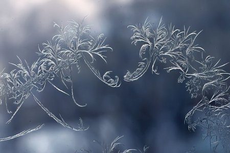 Красивые узоры на стекле