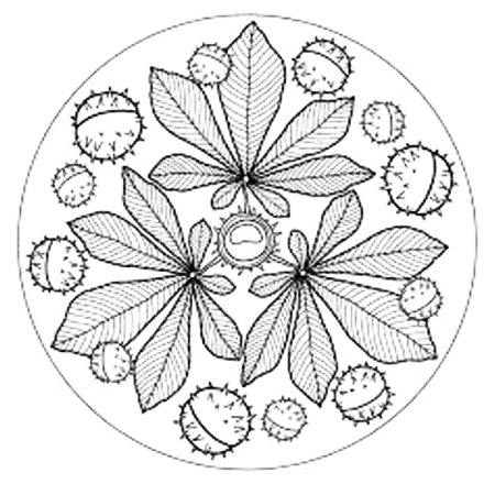 Орнамент осенние листья