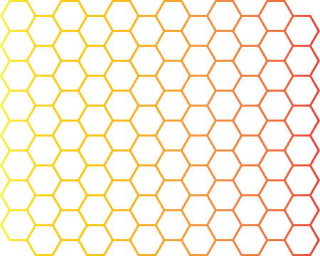 Соты пчелиные вектор