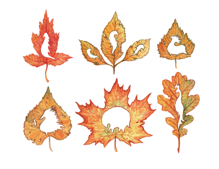 Орнамент из листочков