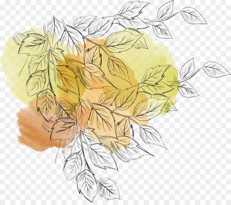 Акварельные листья на прозрачном фоне