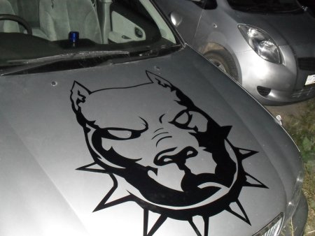 Художественная роспись автомобилей