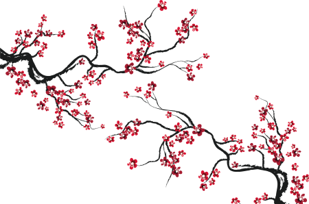 Сакура рисунок