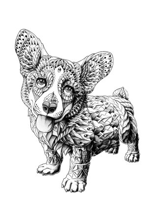 Корги раскраскаантистрес