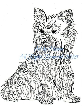 Раскраска антистресс Йоркширский терьер