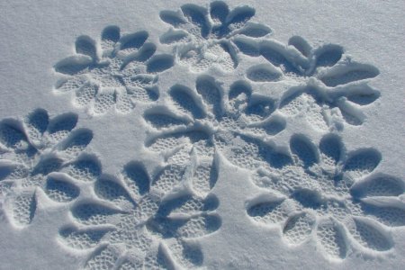 Рисование на снегу