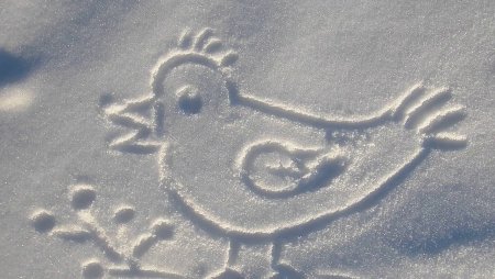 Палочки для рисования на снегу