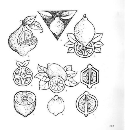 Стилизация овощей