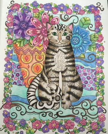 Раскраска антистресс котики