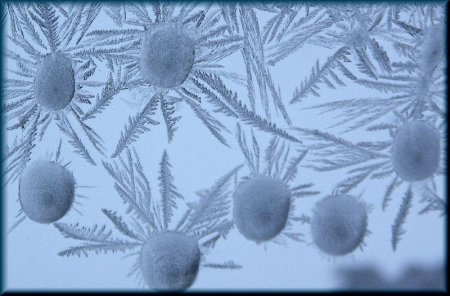 Иней на окнах подготовительной группе рисование