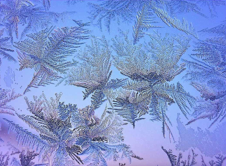 Морозные узоры рисунок