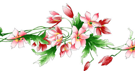 Цветочные бордюры на прозрачном фоне