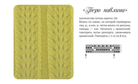 Перо павлина рисунок
