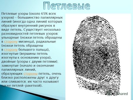 Дуговой узор папиллярных линий
