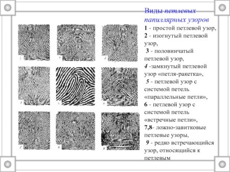 Основные типы папиллярных узоров криминалистика