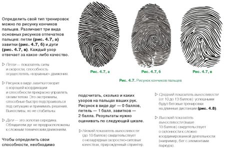 Отпечатки пальцев дуги петли завитки